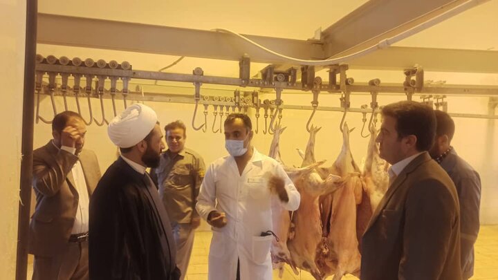 بهداشت کشتارگاه ؛دغدغه بامدادی امام جمعه کهگیلویه/بازدید سرزده برای بررسی سلامت کشتار دام